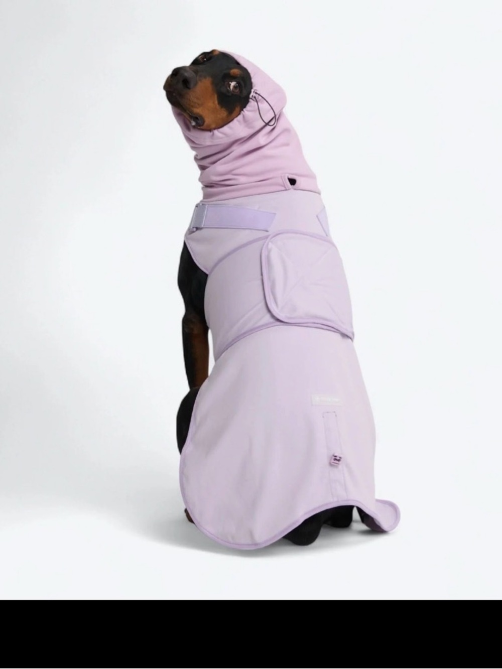 Lavender anxiety wrap - Picture 1 of 8